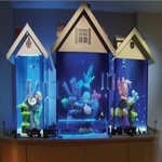 Fish Tanks Fish Tanks